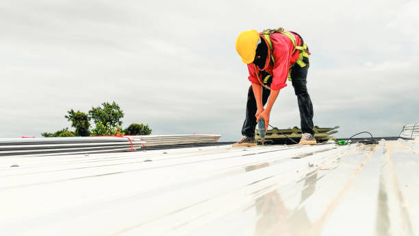 Best Roof Maintenance and Cleaning  in South Amboy, NJ