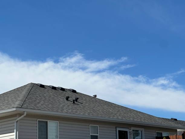 Best Metal Roofing Installation  in South Amboy, NJ